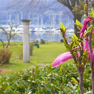 The Gulf - Maggiore , Monvalle Italien